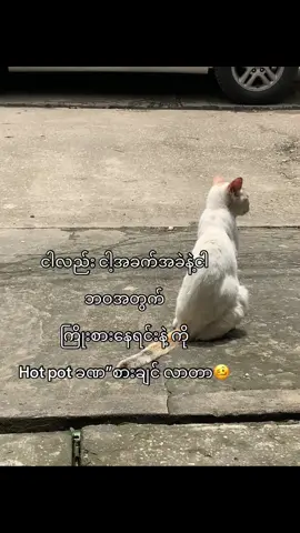 မီး”မြှောင်အပစ်လား 🥺#fypシ゚ #moots? #views #foryou #fypシ゚viral 