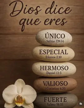 #graciasdios #portusbendiciones🙌🤲🙏🏼 #amen #ppppppppppppppppppppppp 