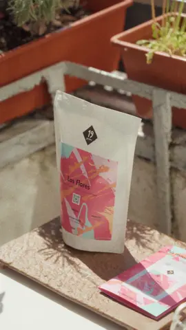 As Flores - bright, floral notes of cantaloupe, cherry, and lemon verbena—balanced with silky mouthfeel and a clean, complex finish! Don't miss your last chance on this Summer Spectacle in a Cup! #19grams #coffee #bloodygoodcoffee #specialtycoffee #sustainable #thirdwavecoffee #berlin #berlincoffee #filtercoffee #espresso #roastery #coffeelover #coffeeaddict #coffeeaddicted #berlinspecialtycoffee #kaffee #CoffeeCulture #coffeeshop #colombia #colombiancoffee #lasflorescoffee