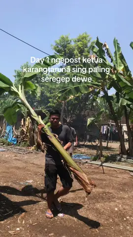 Iki lo 🤭 #17agustus #17core #foryoupage #pemudakarangtaruna #karangtaruna 