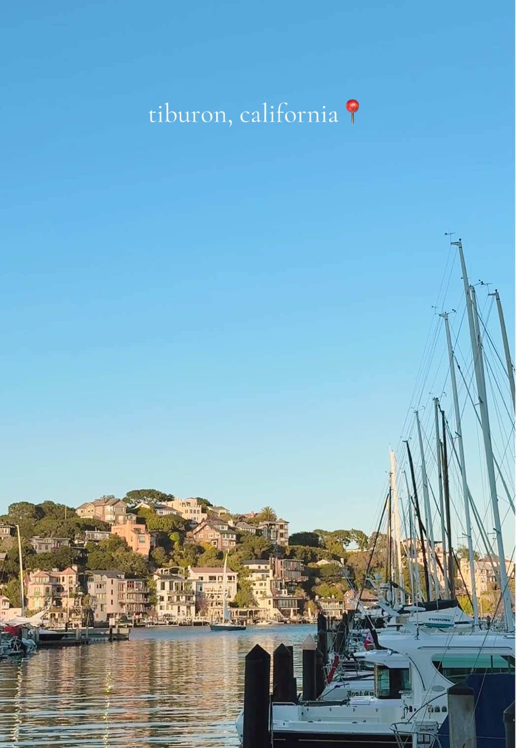 Cutest little town! #northerncalifornia #tiburon #restaurant #sanfrancisco #norcal 