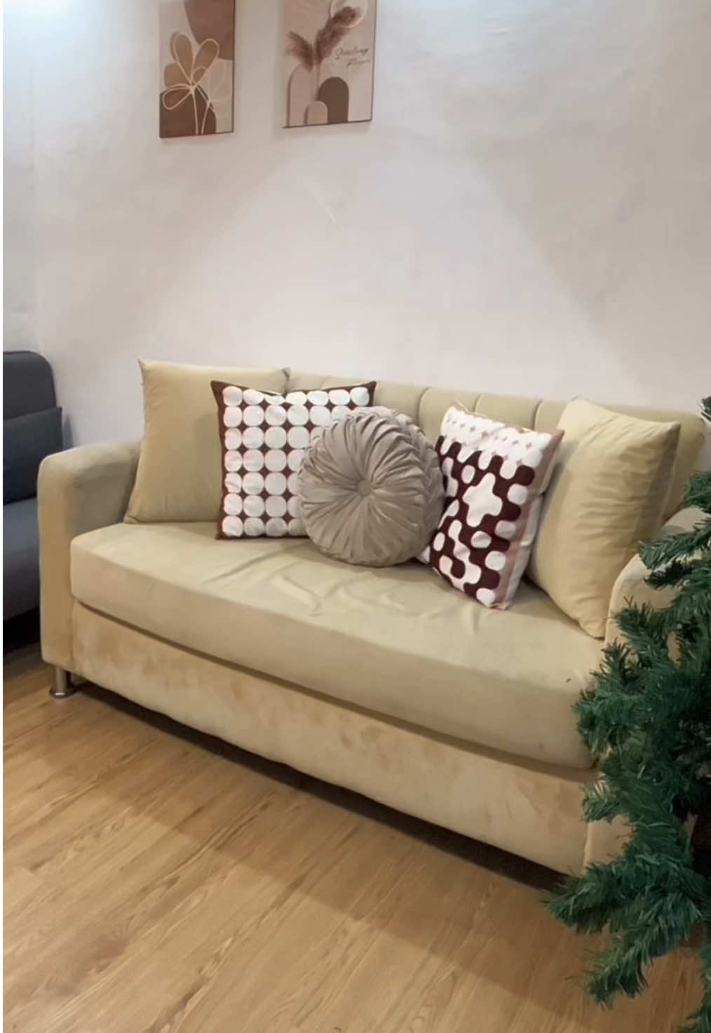 Mas bagay siguro kung nakapag linis ako ng sofa #throwpillow #velvet #cusion #fyp 