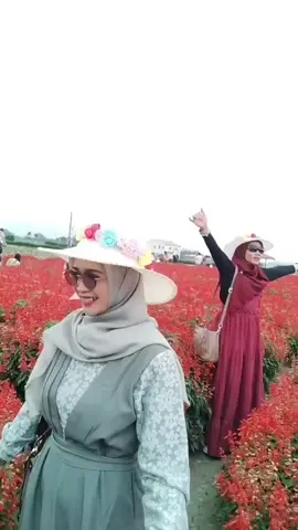 Santun Siang Semuanya 🙏🥰🥰🥰💃💃💃💃