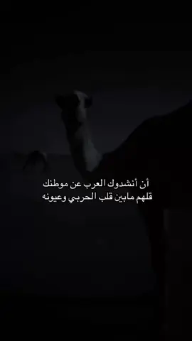 #حرب_دوله #حرب_اهل_الثلااث_المعجزات #اكسبلورexplore #f_15 #viralvideo #حرب 