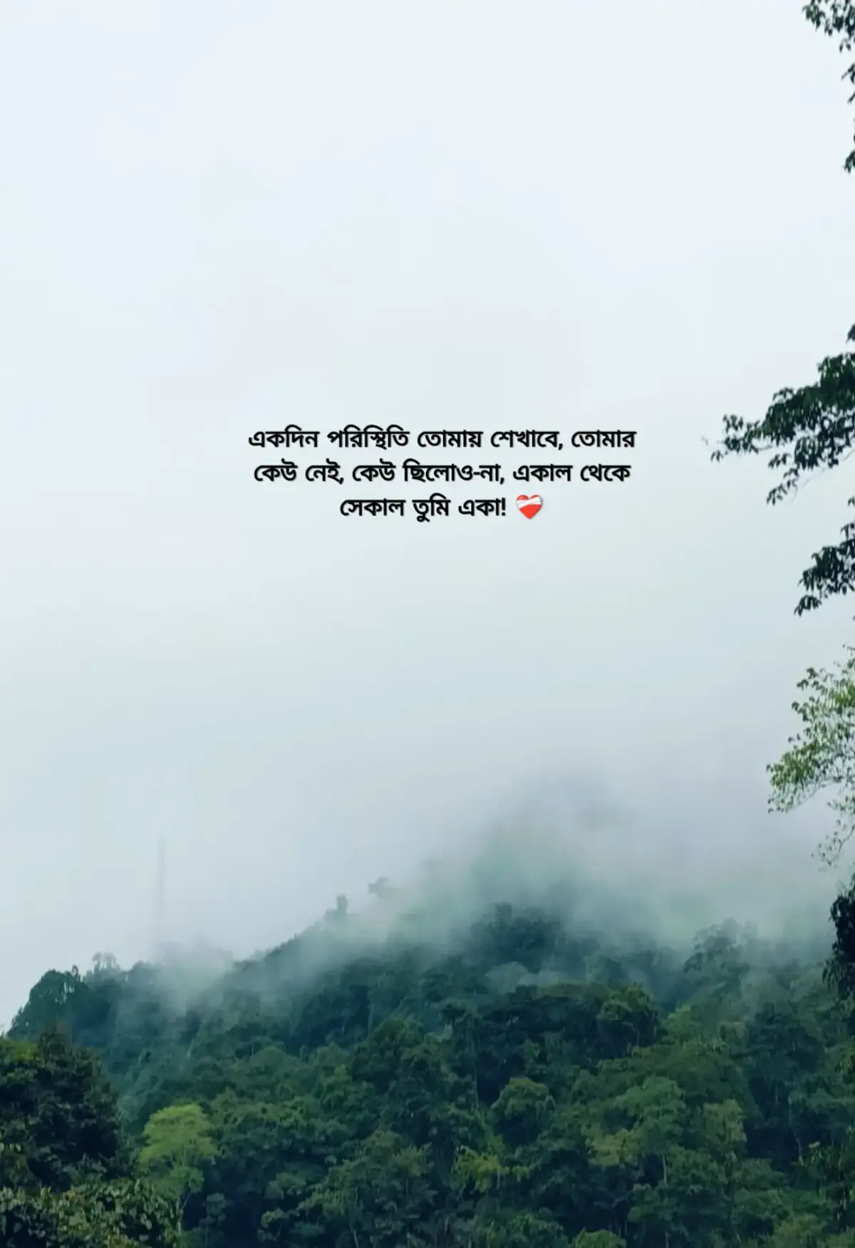 একদিন পরিস্থিতি তোমায় শেখাবে, তোমার কেউ নেই, কেউ ছিলোও-না, একাল থেকে সেকাল তুমি একা! ❤️‍🩹 #foryou #foryoupage #viralvideo #unfrezzmyaccount 