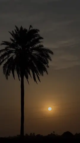 دردئے چیراگئں دیدگ تہاراروکن دلءَ.🫠🧡#baluch #jsm #sunset #trending  #unfrezzmyaccount 