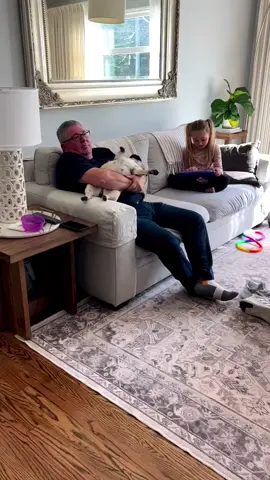 This is life with a pug.🎈 #pug #pugdog #pigorpug #pugsoftheday #puglife #babypug #puppy #puglovers #babyboy #furbaby #cute Credit: 📷📸 Shannon Green