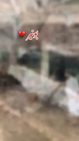 پیربابا 💔