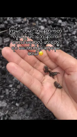 ငါ့လက်ပေါ်တက်အိပ်သွားတဲ့ကောင်ကရှိသေး ငါစိတ်ညစ်🥲🤌🏿  #fyppppooppoppppppppppppppppppppp #foryou #tiktok #fypシ゚viral 