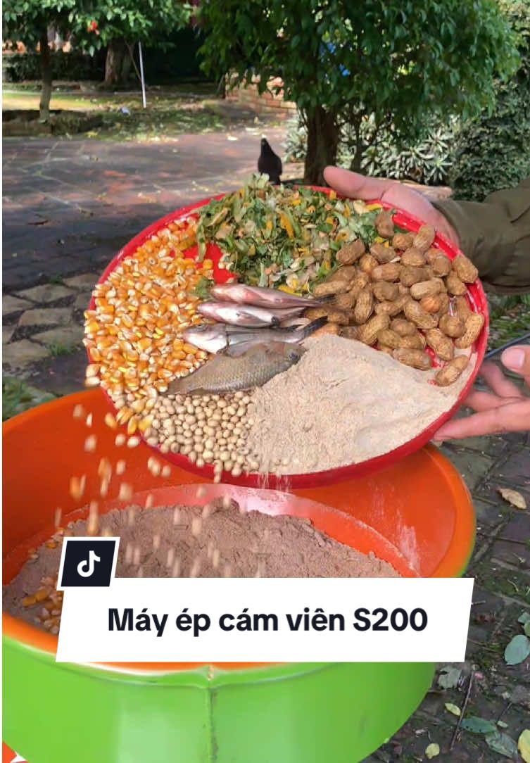 Máy ép cám viên S200 #channuoi #epcamvien #mayepcamvien 