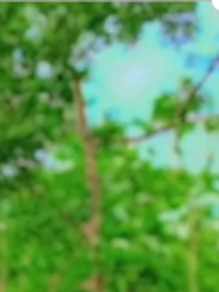 ##farhanahmedprottoy_09🥰🥰🥀🥀🥀big #প্রবাসীজীবন।🇧🇩🇦🇪 #justiceforsohag #ভালোবাসা @TikTok Bangladesh #@❤️Voice Of Farhan ❤️ 