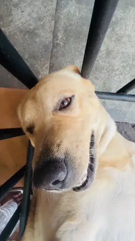 🤪