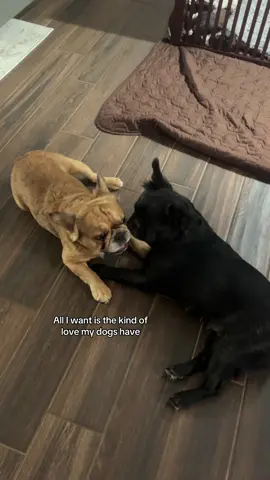 They’re actually ride or d!3 <3 #Frenchies #RelationshipGoals  #Soulmates 