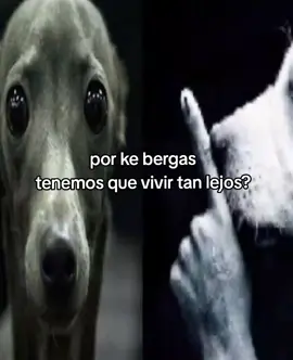 esto es para identificarse si quieren oh mandárselo a su amigo/a oh pololo/a, asta yo me identifico con esta wea 💔#fyp #amistad #pololeo #identificarse #parati 