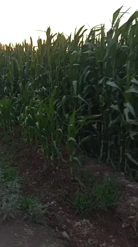 #اكسبلور 