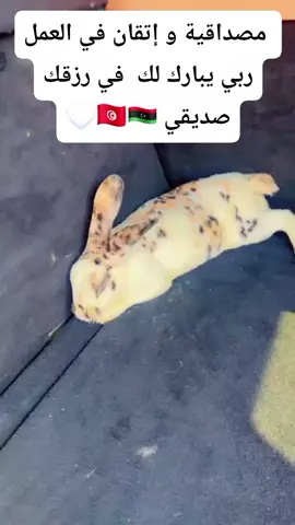 #ليبيا🇱🇾 #تونس🇹🇳 #المغرب🇲🇦 #جزائري🇩🇿 #مصر🇪🇬 