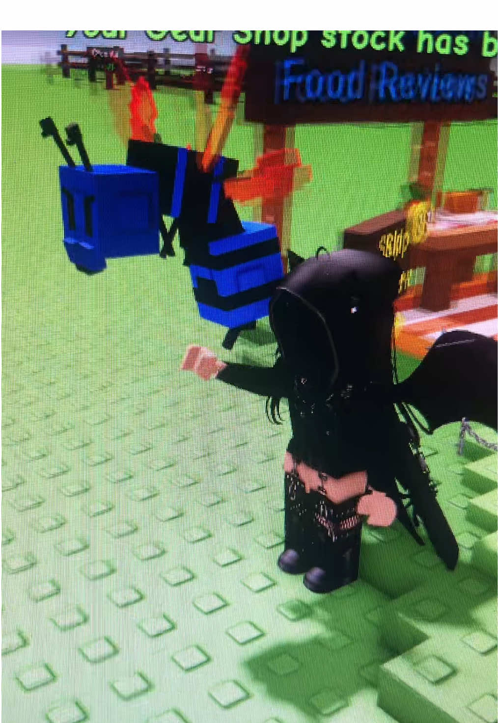 A sweet sweet player has offred y’all a chance to get some other pets , another hawk an a egg chick :) the hawk maybe is pending @FE4RxCaptxCruzz  