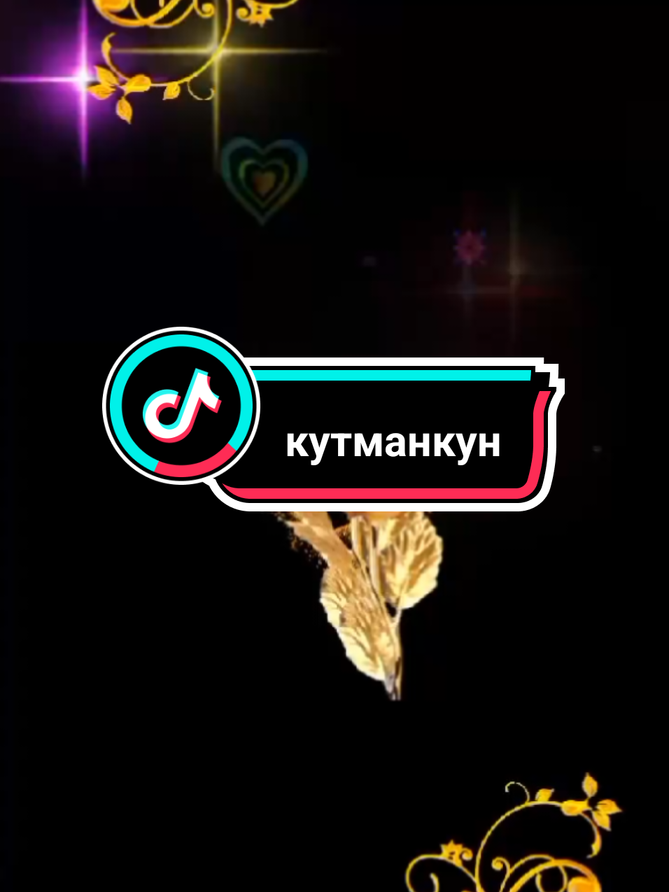 #♥️🥰🤩♥️🥰🤩♥️🥰🤩♥️🥰🤩 #кутмандуукүн🤗 