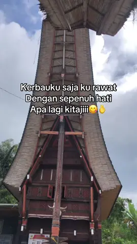 Kata” jii😭🤣 #fypシ #toraja #foryoupage #torajanese #fyp 