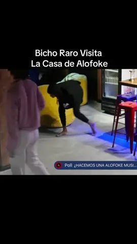 Luise es como loco 🤣 que cura! #LaCasaDeAlofoke