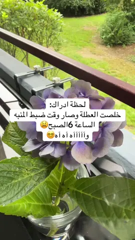 #اجازة #عطلة #الشعب_الصيني_ماله_حل😂😂 #fupgシ #fouryou 