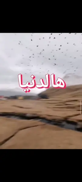 #هالدنيا_كلشي_ماتسوى_من_دون_اهلنا #تنزيل_مفتوح💛 #ابو_عبود_المصمم🤍 