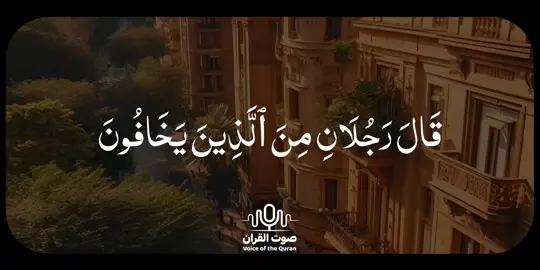 #قران #quran #سيد_سعيد 