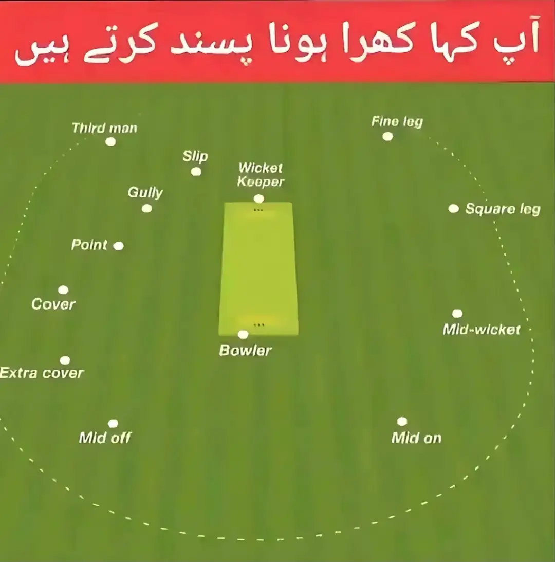 #cricket  Lover #cricket Video #shot your favorite area ❤️#fullforyoupage🎉🎇✨ #dream 