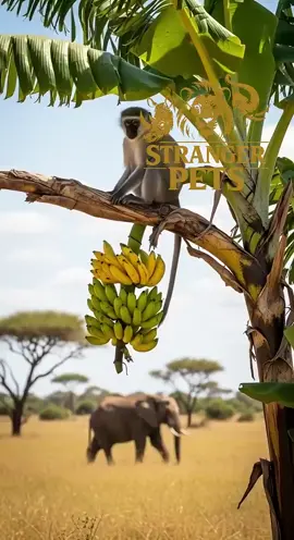#birds  🙀😮😮😮#ai#foryou  #animals #monkey 