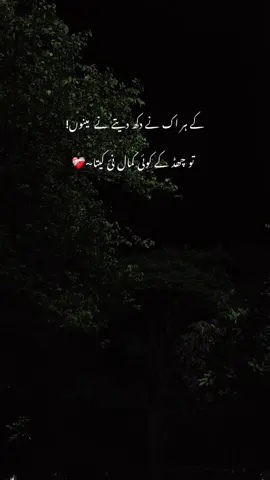 ❤️‍🩹#fyp #forupage #urdushayariviral #urdupoetry #fypシ゚viral @MUMTAZ 🤍 @𝙏 𝘼 𝙇 𝙃 𝘼🫀❤️‍🩹 @W A S I ⚔️ 