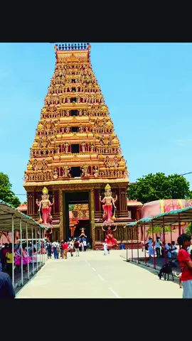 #canada_life🇨🇦 #srilankan_tik_tok🇱🇰 #nainatheevu_amman #Home town#holiday2025 