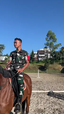ma boi☠️ #equestrian #17agustus #fypシ #capcut 