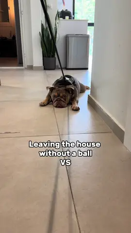 He does whatever he wants