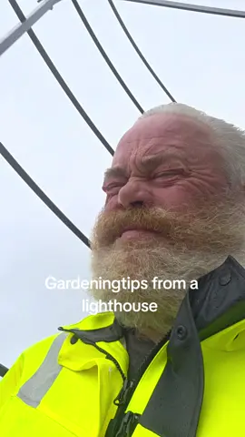 Today I tell you a really fun story about my pond and some ducks that were there earlier. If you have a garden I higly recommend a duckpond.#LearnOnTikTok #fyr #lighthouse #fyp #nature 