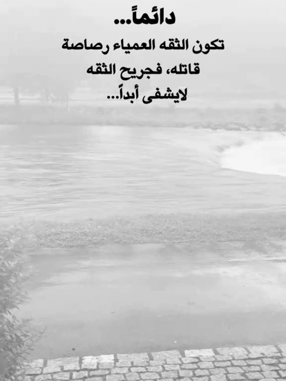#عبارات_رامــــــو♡🇸🇦♡🇾🇪 #تصميم_فيديوهات🎶🎤🎬 #اكسبلور_اعادة_نشر🔄 