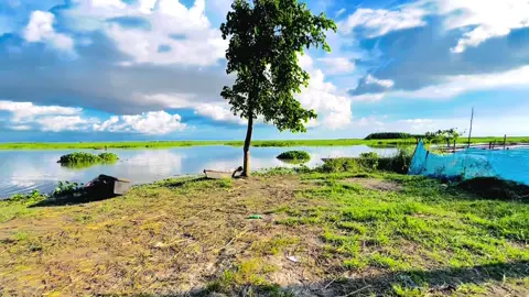 তোমার ঘরে বসত করে কয়যনা 😅❤️‍🩹 #foryoupage #fyp #tiktokbangladesh #bdtiktokofficial🇧🇩 #unfrezzmyaccount @TikTok @TikTok Bangladesh 