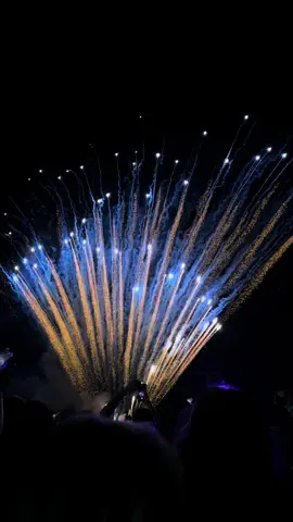 Io la vita la prendo com’eeeeeeeee ✨✨✨ #ultimo #ferragosto #fireworks #party #friends 