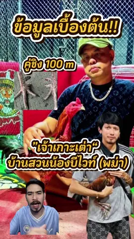 ”เจ้าเกาะเต่า“  บ้านสวนน้องบีไวท์ (พม่า) #เจ้าเกาะเต่า #ไก่ชน #เสี่ยแบงค์ 