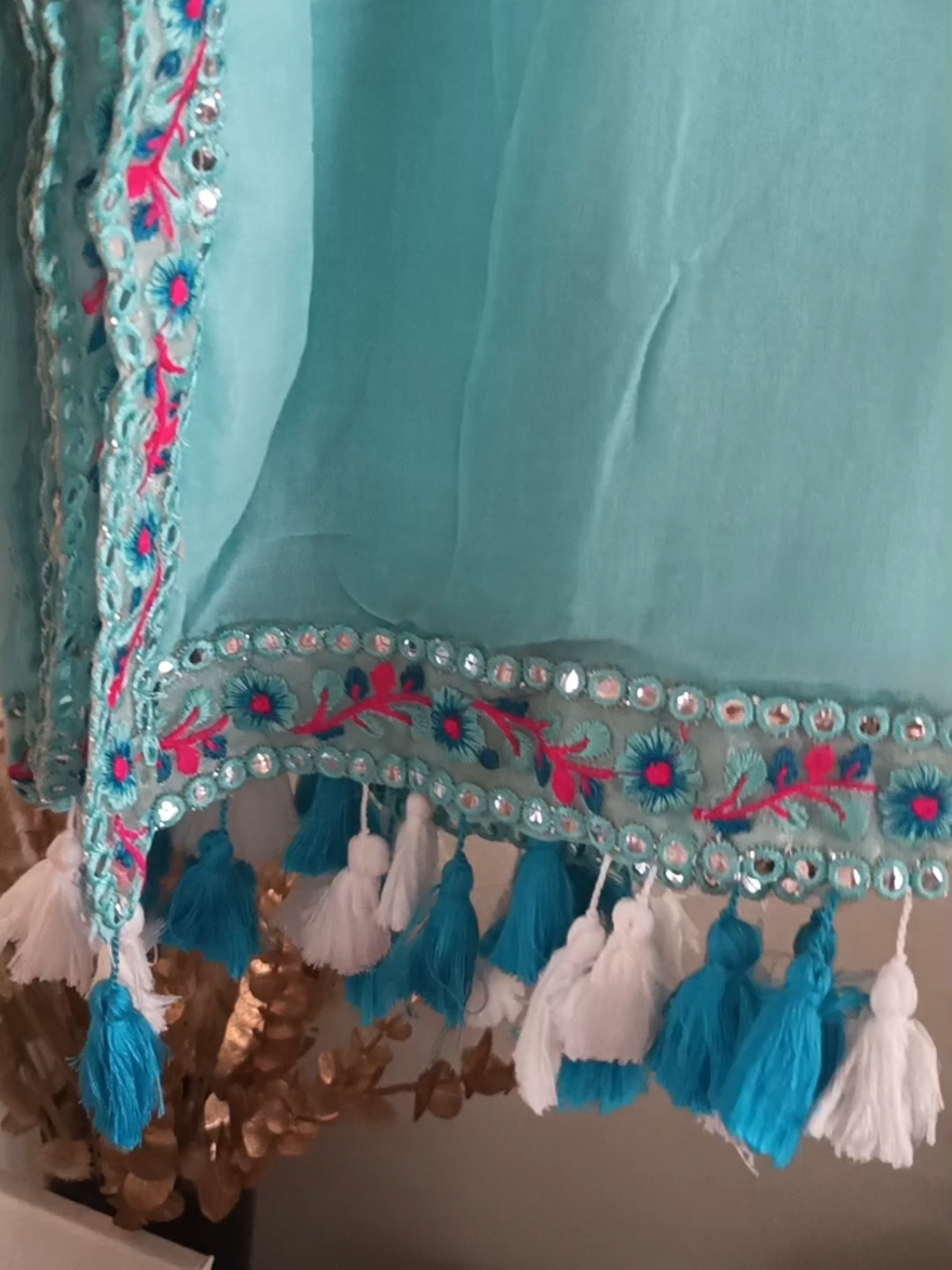 Sky blue Mulmul cotton saree 🏞️