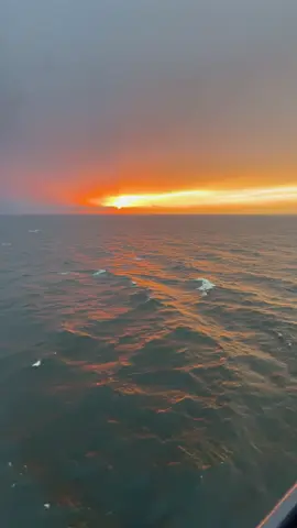 #mystar #tallink #sunset #lifeatsea #shiplife #gulfoffinland #nature #viewfromtheoffice #eveningwatch #deckofficer