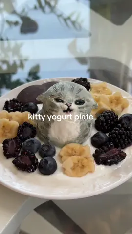 больше зверушек в тгк: mioosama 🐈‍⬛  #рек #сухоййогурт #милаяеда #yogurtbowl #dryyogurt 