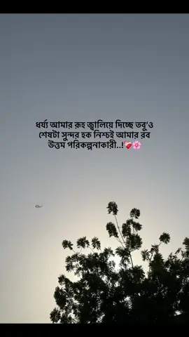 Patience burns my soul, yet the end is good. Indeed, my Lord is the best planner..!❤️‍🩹🌸 .. .. .. #Sharjah_top_2#dubaivideo#foryou#yyyyyyyyyyyyyy#vairalvideo