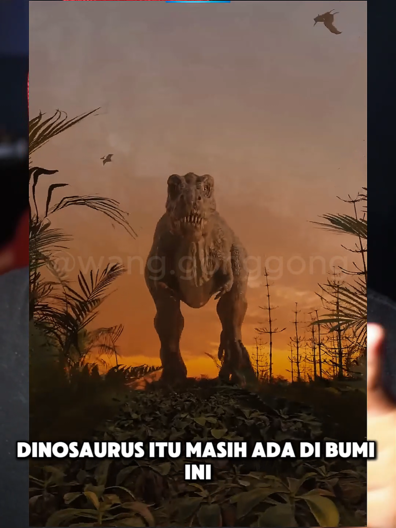 tau gak sih? Dinosaurus masih hidup! #dinosaur #kalimantan #fyp #wanggonggong #wangkiid 