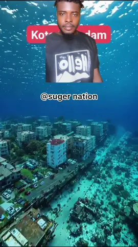 This is marine world 🌎 #videoviralitiktok #videovirale🥰🥰 #videoviral #everyone 