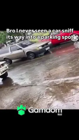 #fypシ #viral #funny #meme 