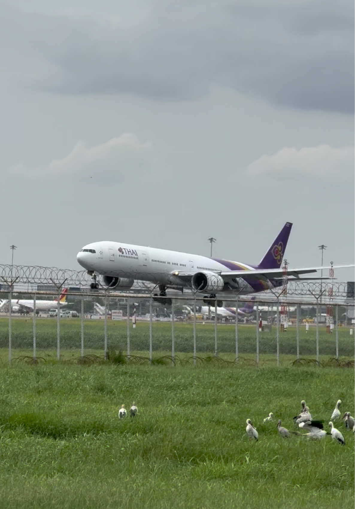 การบินไทย BOEING 777 Landing 💜✈️ #เครื่องบิน #สนามบินสุวรรณภูมิ #การบินไทย #boeing777 #airplane 