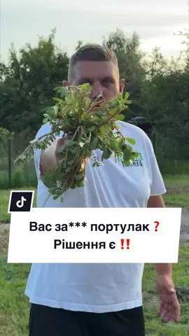 Портулак — один із найживучіших бур’янів 🌱 У цьому відео я показую, як правильно приготувати гербіцидний розчин (Федерал або Антибурʼян + прилипач) і головне — демонструю результат через тиждень 👌 Перевірений спосіб для городу! #нехайросте #дача #буряни #садівництво #гербіцид @Моя історія 