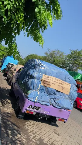 Kata”ne wes nempel neng terpal #predatorcabbage #sayurfresh #l300_pickup #fyp #foryou 