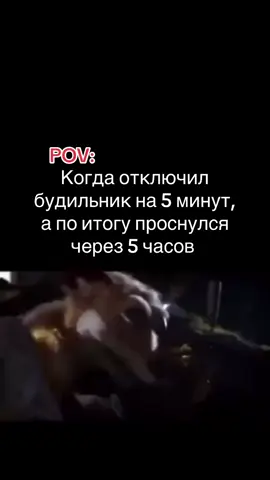 выспался 
