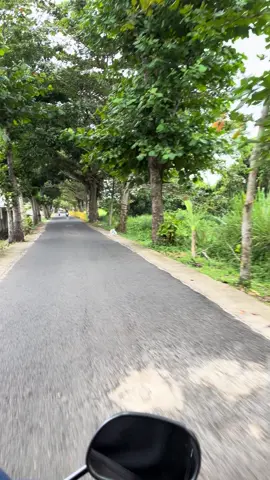 Kalau kami ngomong nyo jalan ini jalan arah atap seng #dendam #danaudendamtaksudah #bengkulupride #bengkulutiktok #bengkulu 